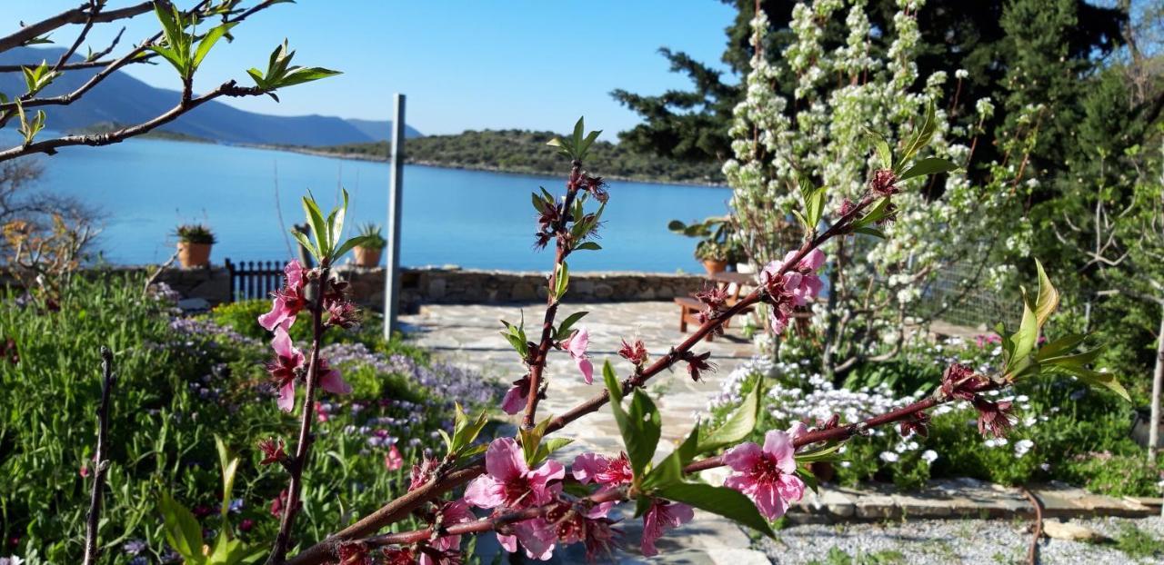Agios Dimitrios  Blueline Guesthouse מראה חיצוני תמונה