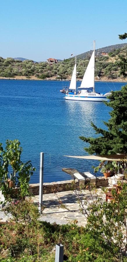 Agios Dimitrios  Blueline Guesthouse מראה חיצוני תמונה
