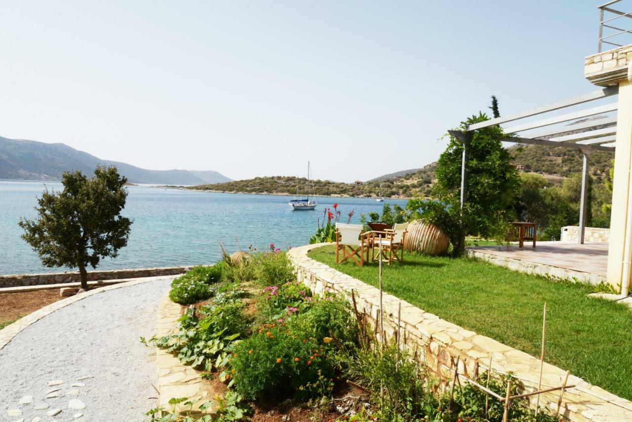 Agios Dimitrios  Blueline Guesthouse מראה חיצוני תמונה