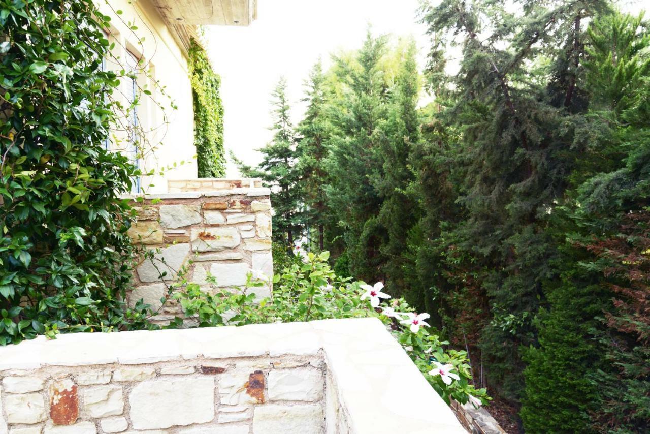 Agios Dimitrios  Blueline Guesthouse חדר תמונה