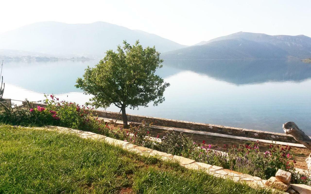 Agios Dimitrios  Blueline Guesthouse מראה חיצוני תמונה